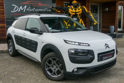 Citroën C4 Cactus PureTech 110 S&S BVM Shine 11290 euros