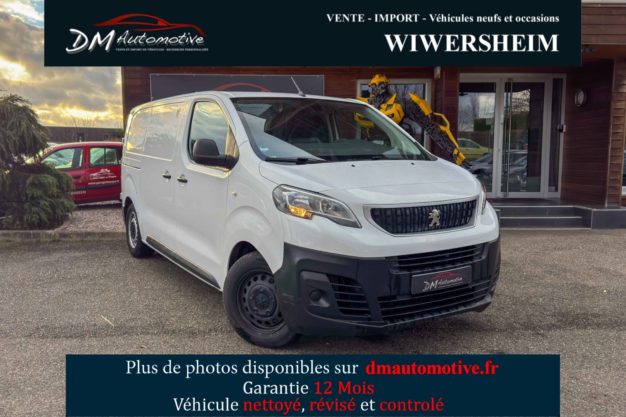 Peugeot Expert (3) BLUEHDI 100 STANDARD PREMIUM 13440 euros